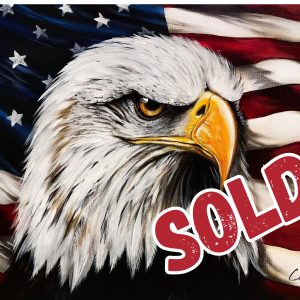 Spirit of America
